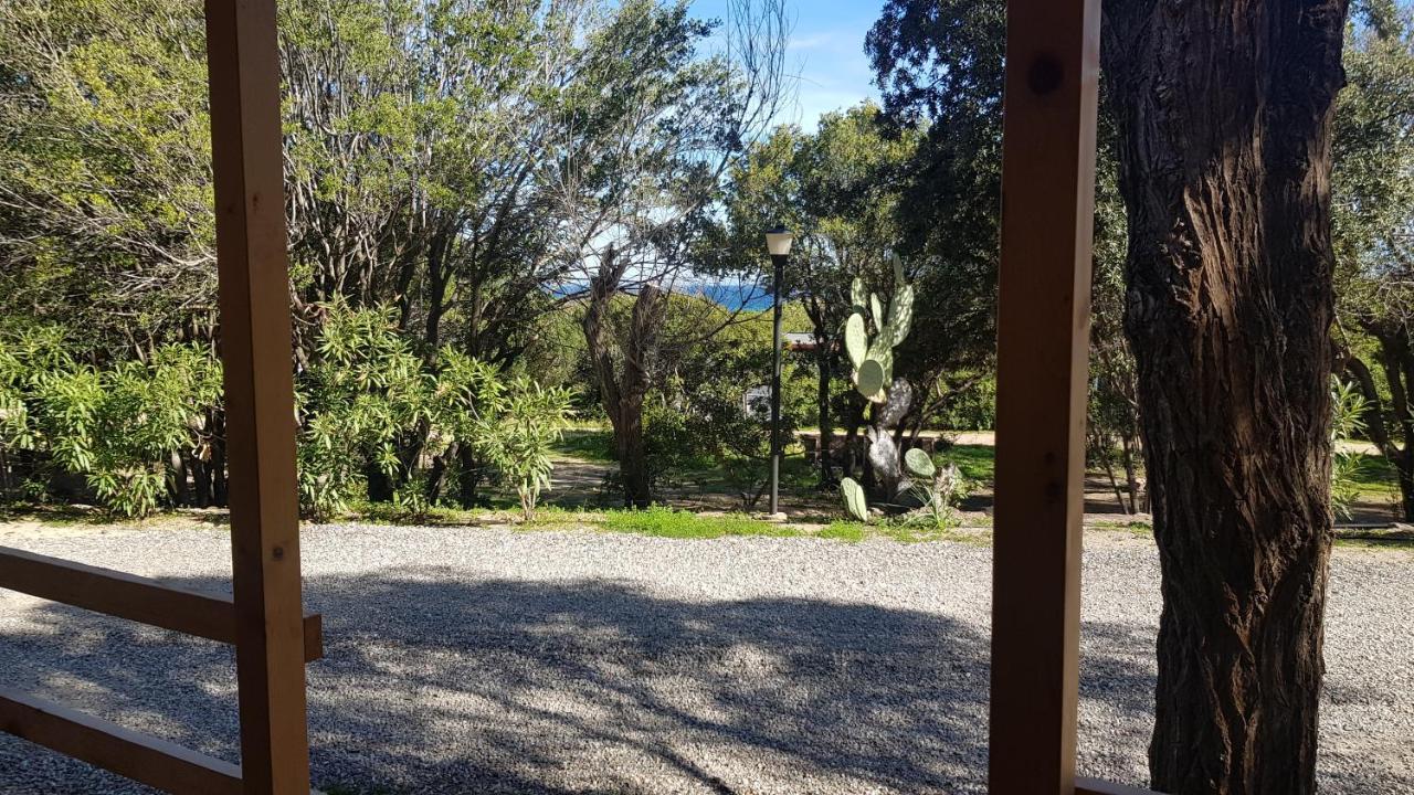 New Camping Coccorrocci Marina di Gairo Exterior foto
