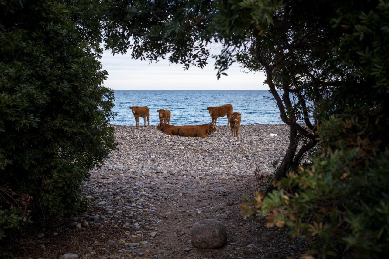 New Camping Coccorrocci Marina di Gairo Exterior foto